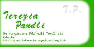 terezia pandli business card